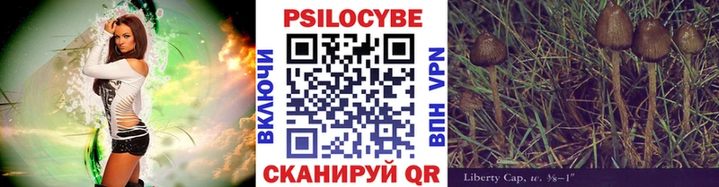 Псилоцибиновые грибы мухоморы  Купить закладки  Корсаков 